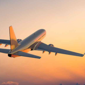 বিমানে ওঠার আগেই বিপত্তি! ব্রিদ অ্যানালাইজার টেস্টে ফেল পাইলট, মাঝ আকাশে বড় বিপদ থেকে রক্ষা দিল্লিগামী উড়ানের