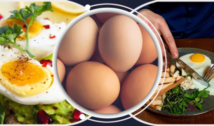 সকালের জলখাবারে সেদ্ধ ডিম খাচ্ছেন? চমকে দেবে উপকার