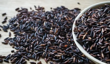 কালো চালের ভাত চমৎকারভাবে কত রোগ সারাতে পারে জানেন? তাহলে পড়ুন