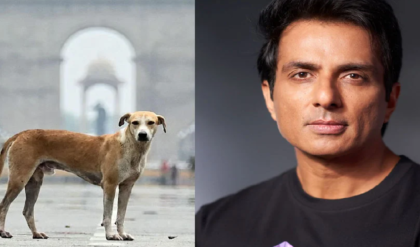 “প্রতিটি পথকুকুরও ভারতীয়!” শীর্ষ আদালতের কড়া অবস্থানের বিরুদ্ধে রুখে দাঁড়ালেন পর্দার ‘মসিহা’