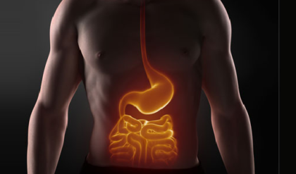 হজমের সমস্যায় নাজেহাল? ওষুধের বদলে জীবনযাত্রায় আনুন এই বদল, শরীর থাকবে সতেজ