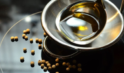 রান্নায় কোন তেল সেরা? হার্ট ভালো রাখতে ও ওজন কমাতে আজই বদলে ফেলুন আপনার ভোজ্য তেল