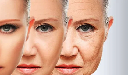 বয়স বাড়বে কিন্তু চেহারা থাকবে চিরসবুজ! মুখের বলিরেখা দূর করার ৫টি জাদুকরী ঘরোয়া টোটকা