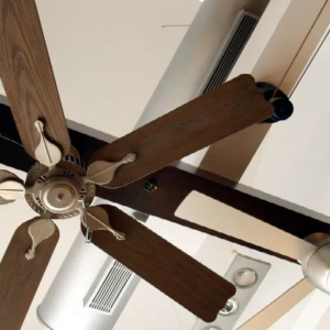 বিদ্যুৎ বিল আসবে অর্ধেক, বাতাস হবে ঝোড়ো! সিলিং ফ্যান কেনার আগে জেনে নিন আধুনিক এই টিপস