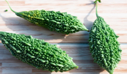 উচ্ছের রস কি সত্যিই অমৃত? খাওয়ার আগে এই ভুল করলে শরীরের বড় বিপদ!