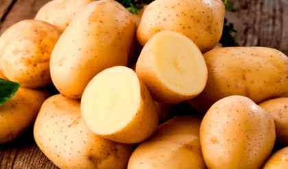 রোজ আলু খেলেই ম্যাজিক! ওজন কমানো থেকে হার্ট— মিলবে এই ৮টি অবিশ্বাস্য উপকার ২. আলু কি সত্যিই ক্ষতিকর?