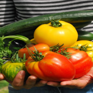 বাজার থেকে আনা সবজি দ্রুত শুকিয়ে যাচ্ছে? তাজা রাখার এই ৫টি সিক্রেট টিপস জানলে অবাক হবেন!