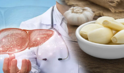 লিভারে জমেছে চর্বি? এক কোয়া রসুনই হতে পারে মহৌষধ! ফ্যাটি লিভার নিয়ে চমকপ্রদ তথ্য দিলেন বিশেষজ্ঞরা