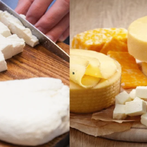 পনির না কি চিজ— প্রোটিনের লড়াইয়ে আসল রাজা কে? বিশেষজ্ঞ ডাক্তারের দাবিতে তোলপাড় নেটদুনিয়া!