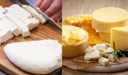 পনির না কি চিজ— প্রোটিনের লড়াইয়ে আসল রাজা কে? বিশেষজ্ঞ ডাক্তারের দাবিতে তোলপাড় নেটদুনিয়া!