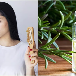 সোশ্যাল মিডিয়ায় ভাইরাল ‘রোজমেরি ওয়াটার’ কি সত্যিই নতুন চুল গজায়? জেনে নিন চিকিৎসকদের আসল মতামত!