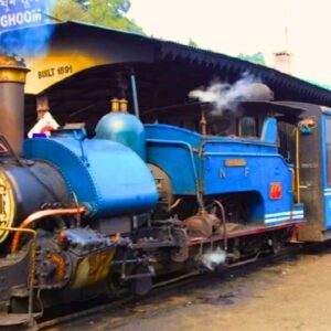 পাহাড়ের বাঁকে জ্যোৎস্নাবিলাস! দার্জিলিংয়ে ৩টি নতুন চার্টার্ড টয়ট্রেন আনল ডিএইচআর (DHR)।