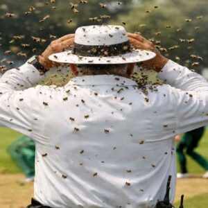 মাঠেই মৃত্যু! ম্যাচ চলাকালীন ঝাঁকে ঝাঁকে মৌমাছির হানা, আম্পায়ারের মর্মান্তিক পরিণতিতে স্তব্ধ ক্রিকেট বিশ্ব