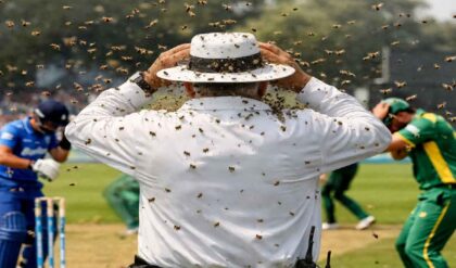 মাঠেই মৃত্যু! ম্যাচ চলাকালীন ঝাঁকে ঝাঁকে মৌমাছির হানা, আম্পায়ারের মর্মান্তিক পরিণতিতে স্তব্ধ ক্রিকেট বিশ্ব
