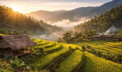 মেঘের রাজ্যে কয়েকটা দিন! মিরিকের রহস্যময় ‘বংকুলুং’ গ্রাম কেন পর্যটকদের নতুন পছন্দের ঠিকানা?