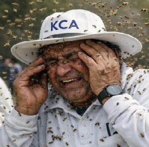 মাঠেই চিরনিদ্রায় আম্পায়ার! ঘাতক কোনো খেলোয়াড় নয়, একদল পতঙ্গের হামলায় স্তব্ধ ক্রিকেট বিশ্ব