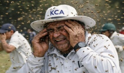 মাঠেই চিরনিদ্রায় আম্পায়ার! ঘাতক কোনো খেলোয়াড় নয়, একদল পতঙ্গের হামলায় স্তব্ধ ক্রিকেট বিশ্ব