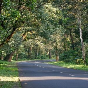 ডুয়ার্স ভ্রমণে লাটাগুড়ি তো যান, কিন্তু এই অদ্ভুত নামের মানে জানেন কি? লুকিয়ে আছে এক রোমাঞ্চকর ইতিহাস