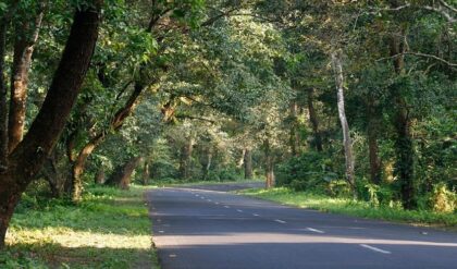 ডুয়ার্স ভ্রমণে লাটাগুড়ি তো যান, কিন্তু এই অদ্ভুত নামের মানে জানেন কি? লুকিয়ে আছে এক রোমাঞ্চকর ইতিহাস