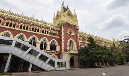 ‘রাজ্য না পারলে আধা সেনা দিয়ে হবে!’ জলাভূমি বাঁচাতে কড়া বার্তা বিচারপতি অমৃতা সিনহার