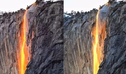 ফেব্রুয়ারিতে ঝরনা দিয়ে বইছে কমলা লাভা! প্রকৃতির এ কোন জাদুকরী রূপ দেখছে বিশ্ব?