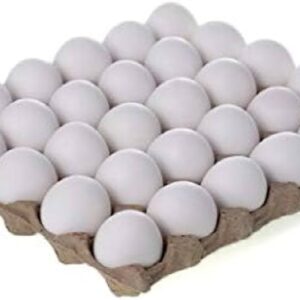 ভারতীয় ডিমে ‘না’ সৌদি আরবের! হঠাৎ আমদানিতে নিষেধাজ্ঞা জারি করায় মাথায় হাত পোল্ট্রি ব্যবসায়ীদের।