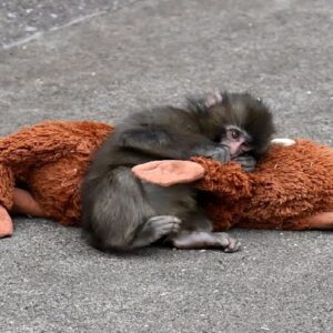 Google-এ এই সিক্রেট কোড লিখলেই নামবে ভালোবাসার বৃষ্টি! আপনি ট্রাই করেছেন কি?