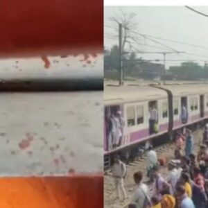 ট্রেন তখন যাত্রী ঠাসা, মগরাহাট স্টেশনে ঢোকার মুখেই দাউদাউ আগুন! শিয়ালদহ দক্ষিণ শাখায় হুলুস্থুল ট্রেন তখন যাত্রী ঠাসা, মগরাহাট স্টেশনে ঢোকার মুখেই দাউদাউ আগুন! শিয়ালদহ দক্ষিণ শাখায় হুলুস্থুল