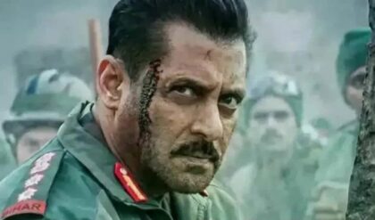 ভারতীয় সেনার সম্মানে বড় সিদ্ধান্ত ভাইজানের! ‘ব্যাটল অফ গালওয়ান’ কি আদৌ মুক্তি পাবে?