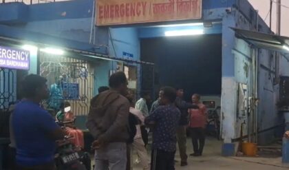 মদ খাওয়ার টাকা দেয়নি মা, রাগের মাথায় বঁটি দিয়ে কুপিয়ে খুন করল গুণধর ছেলে!