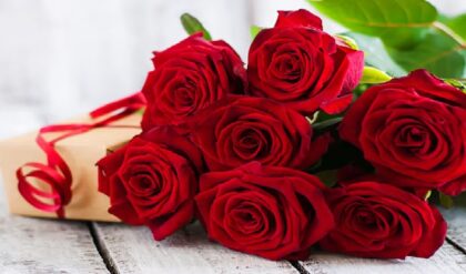 প্রেমের পথে কাঁটা উচ্চমাধ্যমিক! ভ্যালেন্টাইনস ডে-তেও বিকোচ্ছে না গোলাপ, মাথায় হাত ফুল বিক্রেতাদের!