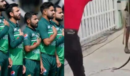 ভারত-পাক যুদ্ধের আগেই চরম আতঙ্ক! বাবর-শাহিনদের ডাগআউটে ঢুকে পড়ল বিষধর সাপ