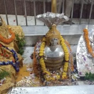 Maha Shivratri 2026: ভোরের আলো ফুটতেই জনসমুদ্র! আদি ভূতনাথের টানে ভক্তিতে ভাসল তিলোত্তমা