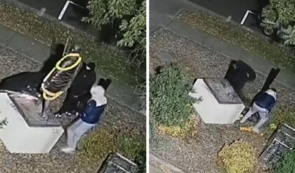 চোরদের টার্গেটে এবার মহাত্মা গান্ধী! ৪২৬ কেজির বিশাল মূর্তি রাতারাতি গায়েব, তদন্তে নামল পুলিশ