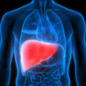 লিভারে জমেছে বিষ? শরীর থেকে টক্সিন বের করতে ট্রাই করুন এই ৫টি ম্যাজিক ড্রিঙ্ক!