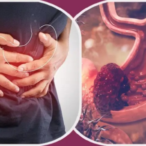 বারবার পেটে ব্যথা ও মলত্যাগের অভ্যাসে পরিবর্তন? অবহেলা করলে বড় বিপদ, জানুন ক্যান্সারের লক্ষণ