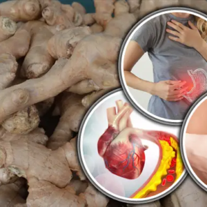 ভুল নিয়মে আদা খাচ্ছেন না তো? রোগ প্রতিরোধ ক্ষমতা ১০ গুণ বাড়াতে আজই বদলান আপনার অভ্যাস