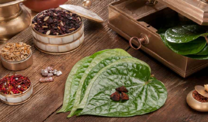 পানের সঙ্গে জর্দা-চুন খাচ্ছেন? সাবধান! আপনার লিভার ও মুখ গহ্বরের বারোটা বাজছে না তো?