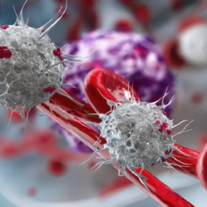 আপনার শরীরেও কি বাসা বাঁধছে মারণ রোগ? ক্যান্সারের এই ১০টি প্রাথমিক লক্ষণ চিনে নিন এখনই