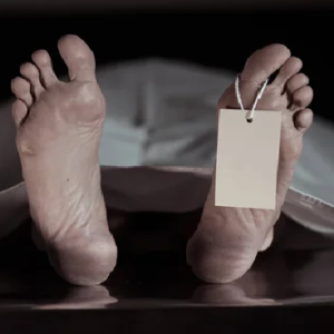 আবর্জনার স্তূপ সরিয়ে ফিরল রাজকীয় জেল্লা! হায়দরাবাদের ১৮শ শতকের বাওড়িকে প্রাণ ফেরালেন আইএএস হরি চন্দনা