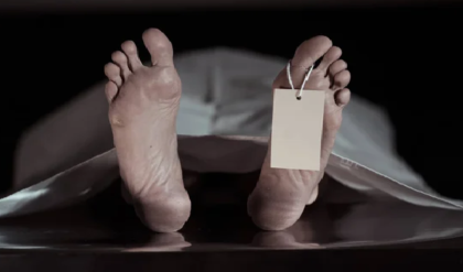 আবর্জনার স্তূপ সরিয়ে ফিরল রাজকীয় জেল্লা! হায়দরাবাদের ১৮শ শতকের বাওড়িকে প্রাণ ফেরালেন আইএএস হরি চন্দনা