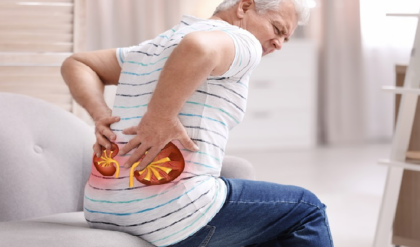 বাড়ির কোণেই লুকিয়ে মরণব্যাধির দাওয়াই! কিডনির পাথর নিমেষে গলাবে এই পাতা