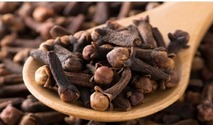 সোনার চেয়েও দামী এই সাধারণ মশলা! রোজ ২টি লবঙ্গ খেলে শরীর হবে লোহার মতো শক্ত