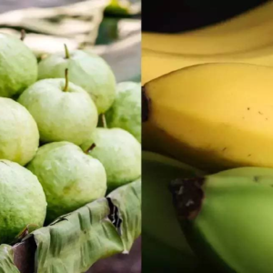 পেয়ারা বনাম কলা: পুষ্টির লড়াইয়ে কে সেরা? আসল সত্যটি জানলে চমকে যাবেন!