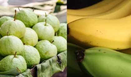 পেয়ারা বনাম কলা: পুষ্টির লড়াইয়ে কে সেরা? আসল সত্যটি জানলে চমকে যাবেন!