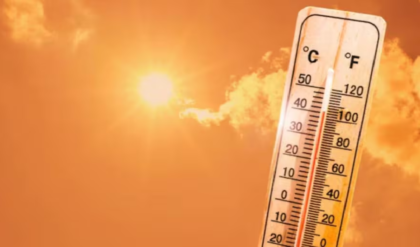 বসন্ত উধাও, সরাসরি গ্রীষ্মের এন্ট্রি! দক্ষিণবঙ্গকে টেক্কা দিয়ে ৩৩ ডিগ্রিতে উত্তরবঙ্গ, চড়ছে পারদ