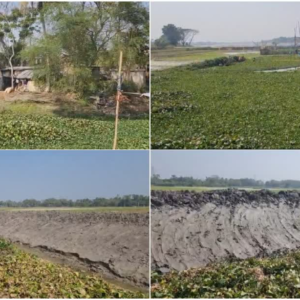 ভোটের মুখে মাস্টারস্ট্রোক! ১ কোটির বরাদ্দে প্রাণ ফিরছে দেগঙ্গার মজে যাওয়া খালের