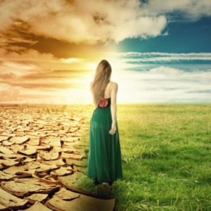 ভাগ্যের চাকা ঘুরবে এবার! জীবন বদলে দেওয়ার ৫টি শক্তিশালী ‘সাকসেস মন্ত্র’