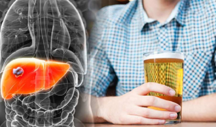 লিভার থেকে হার্ট—অতিরিক্ত মদ্যপান শরীরের যে ৩টি অঙ্গ শেষ করে দিচ্ছে নিঃশব্দে!