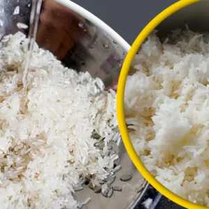 চাল না ধুয়েই হাঁড়িতে দিচ্ছেন? অজান্তেই শরীরে ঢুকছে বিষ, হতে পারে ক্যানসার!